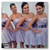 Marina's Rigor
Coleo Debutantes